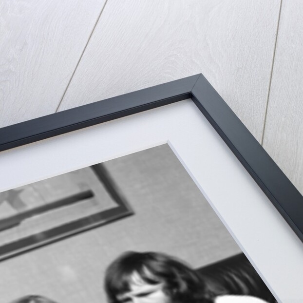 The Goodies by David Johnson