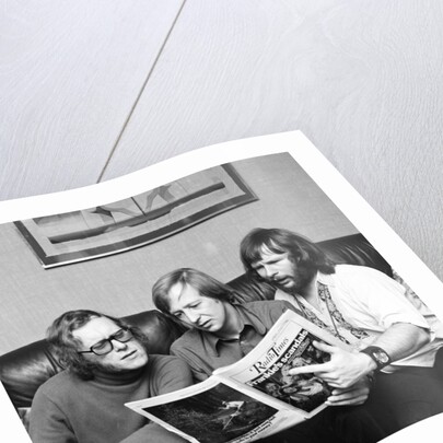 The Goodies by David Johnson