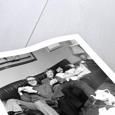 The Goodies by David Johnson