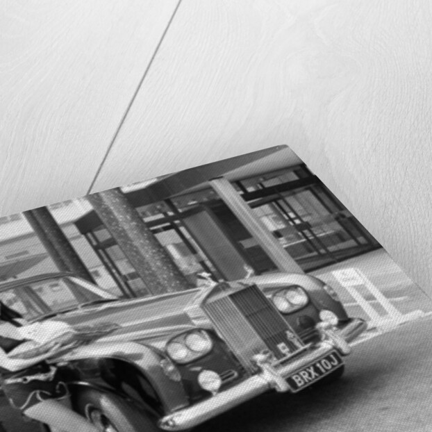 The Goodies by David Johnson