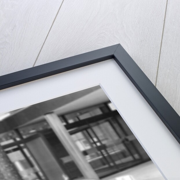 The Goodies by David Johnson