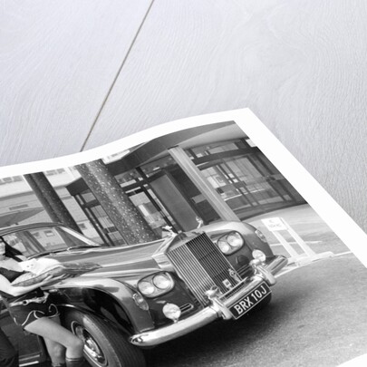 The Goodies by David Johnson