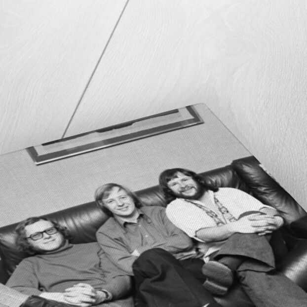 The Goodies by David Johnson