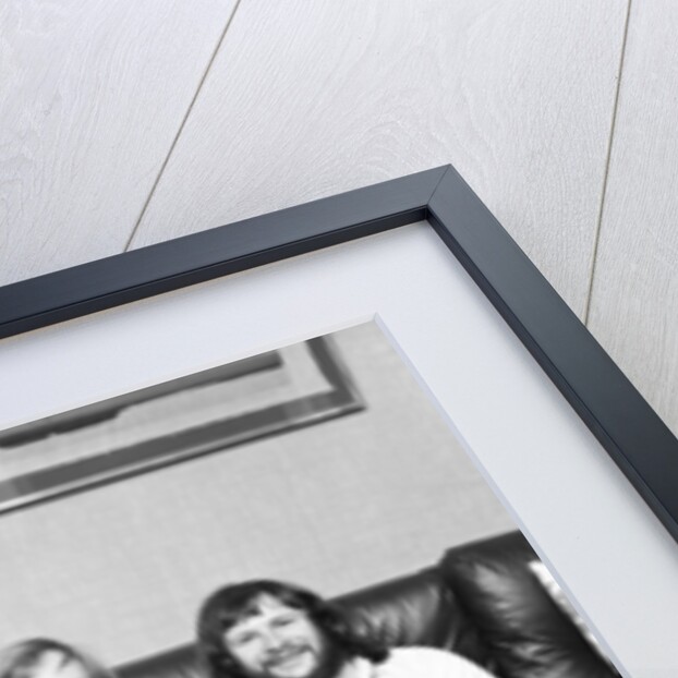 The Goodies by David Johnson