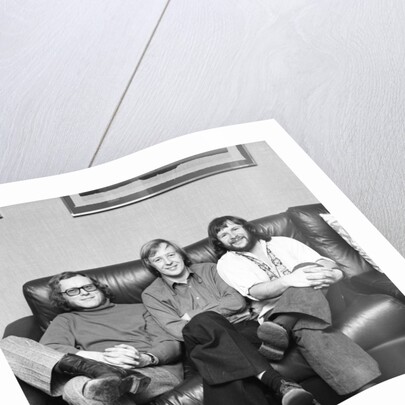 The Goodies by David Johnson