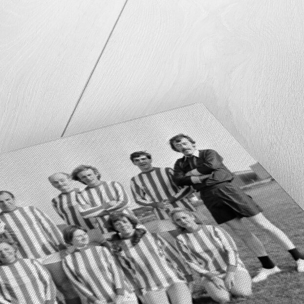 BBC Comedy ' The Fall and Rise' by Dick Williams