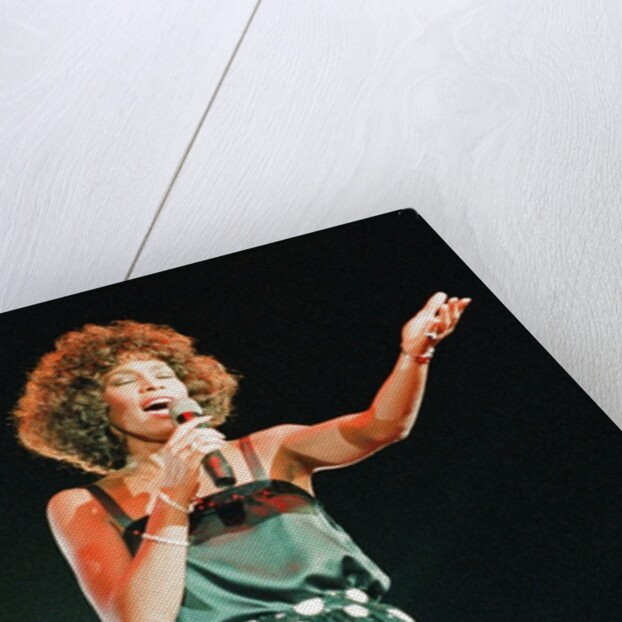 Whitney Houston by Williams