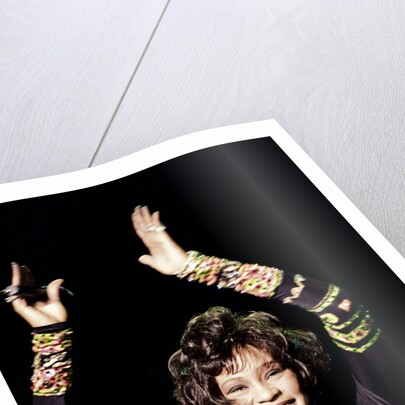 Whitney Houston by Chris Grieve