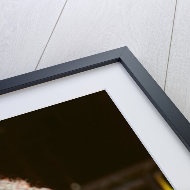 Whitney Houston by Brendon Monks