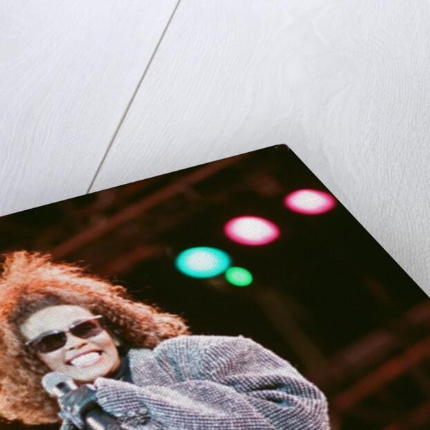 Whitney Houston by Brendan Monks