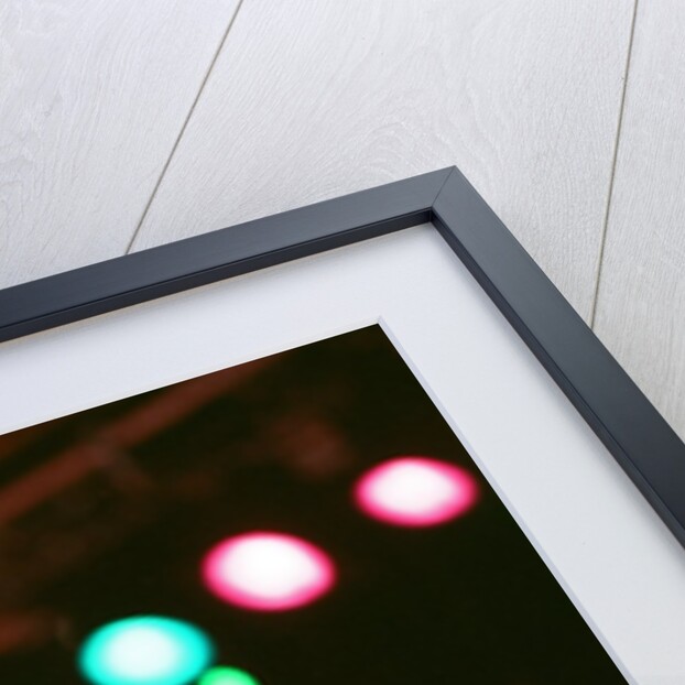 Whitney Houston by Brendan Monks