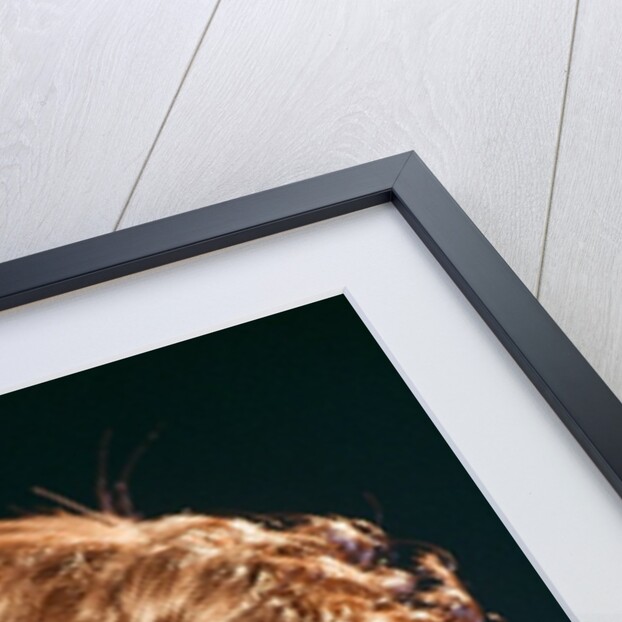 Whitney Houston by Tony Ward