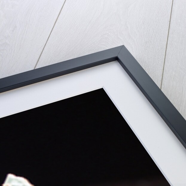 The Hillsborough Justice Concert held at Anfield 1997 by Bradley Ormesher