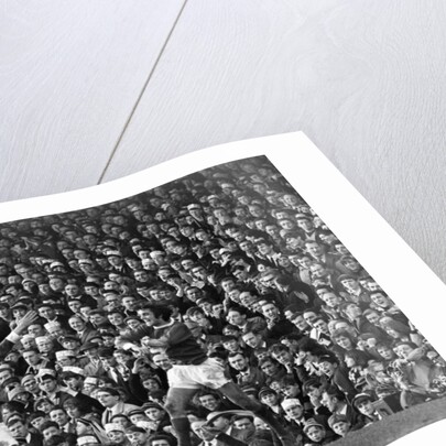 George Best 1966 by Sheppard