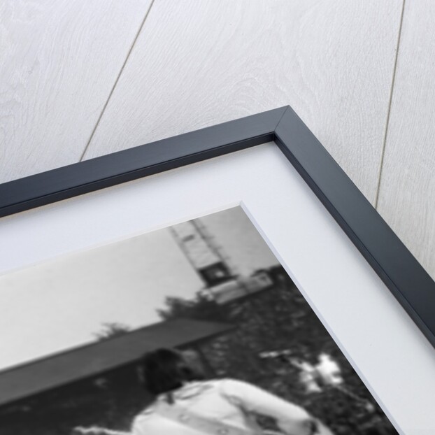 The Who in concert 1976 by Mike Maloney