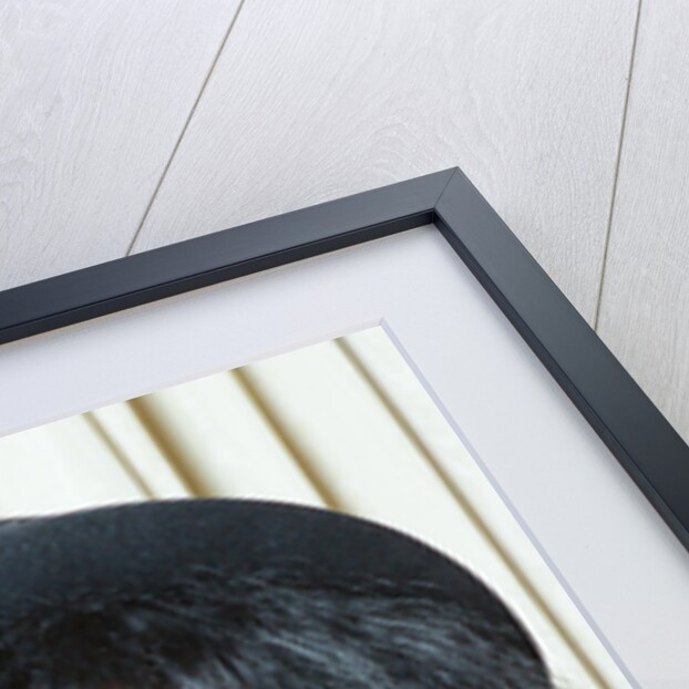 Donna Summer by Nigel Wright