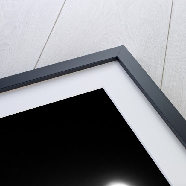 The Who in concert at Charlton 1976 by Richard Reed