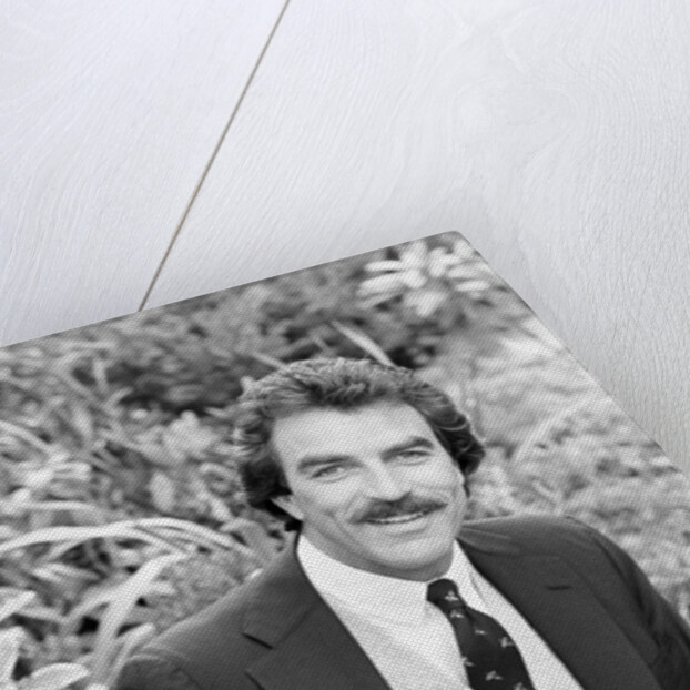 Tom Selleck by Peter Stone