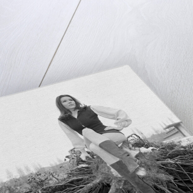 Diana Rigg by Victor Crawshaw