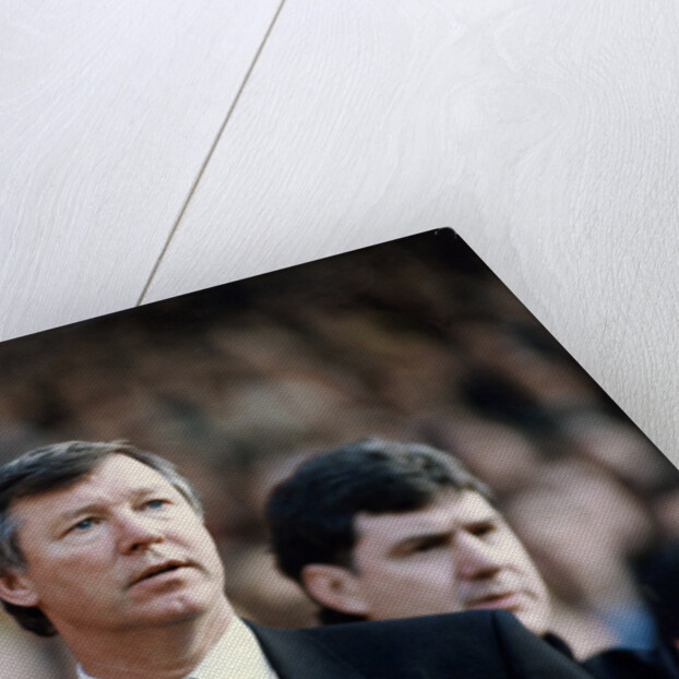 Manchester United manager Alex Ferguson by Featherstone