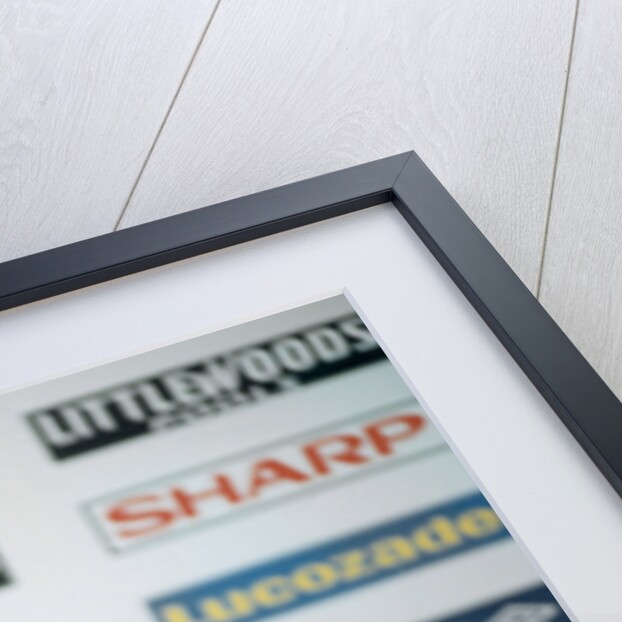 Manchester United manager Alex Ferguson by Eric Graham