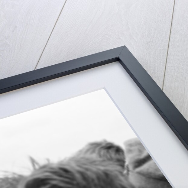 John Lennon 1965 by Maurice Tibbles