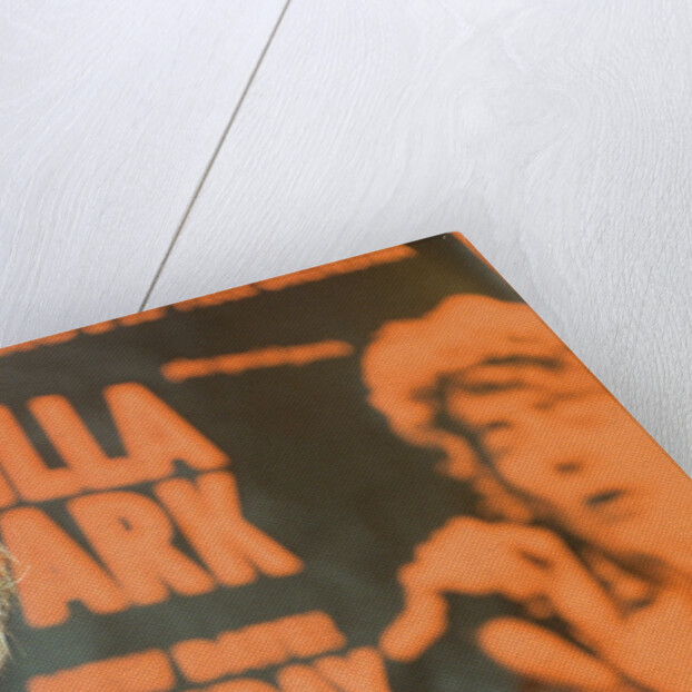 Rod Stewart 1995 by Bull