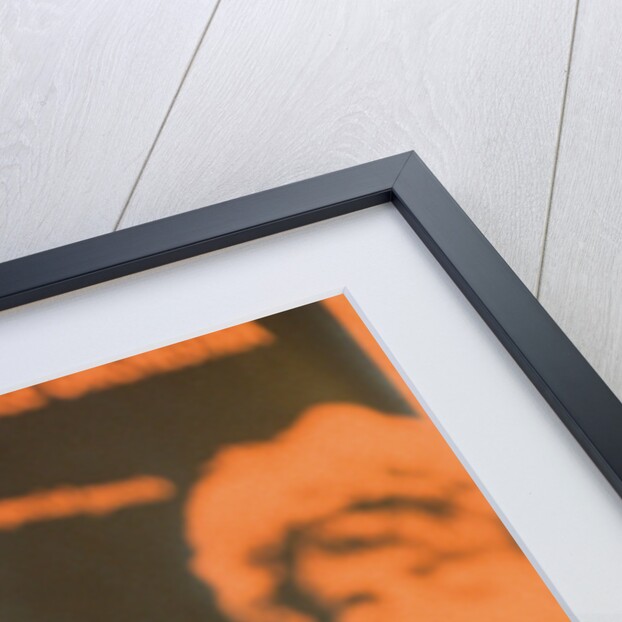 Rod Stewart 1995 by Bull