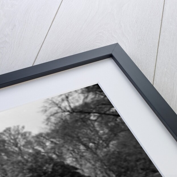 Newstead Abbey by Staff