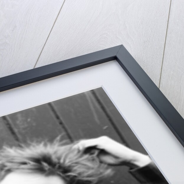 Sex Pistols 1981 by Mike Maloney