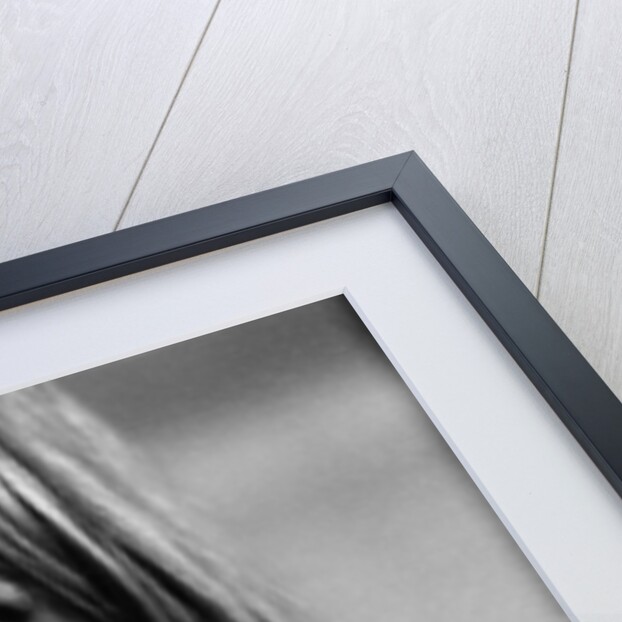 Marianne Faithfull by Davies