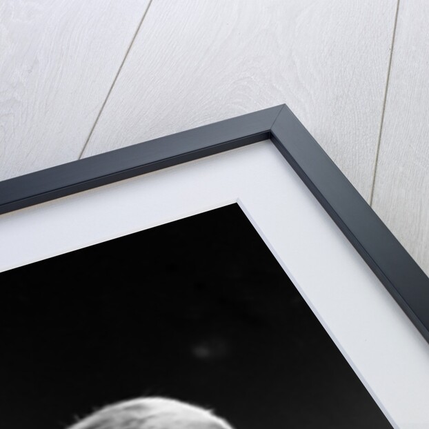 David Bowie 1978 by Allan Olley