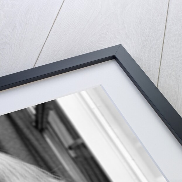 Marianne Faithfull by Tom Buist