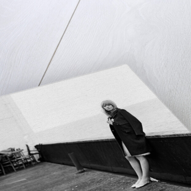 Marianne Faithfull by Terry Mealy