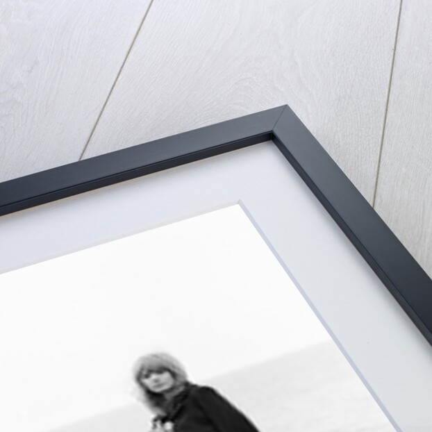 Marianne Faithfull by Terry Mealy