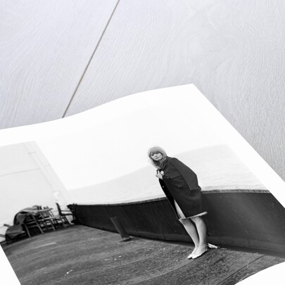 Marianne Faithfull by Terry Mealy