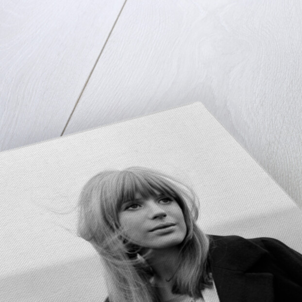 Marianne Faithfull by Terry Mealy