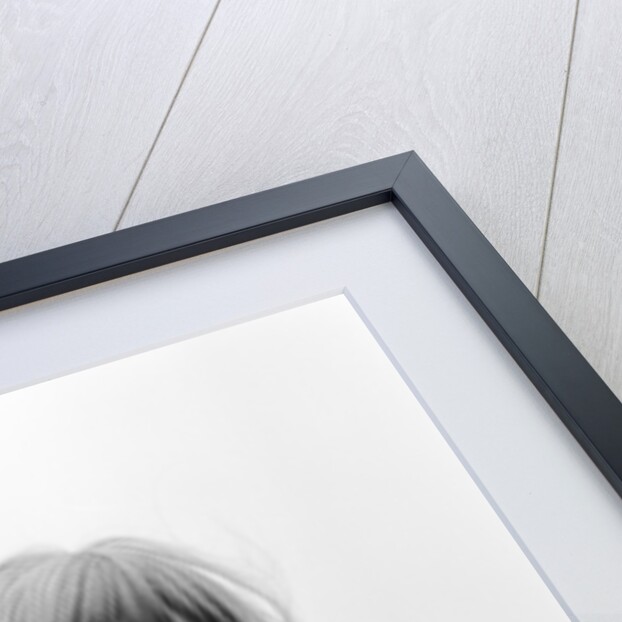 Marianne Faithfull by Terry Mealy