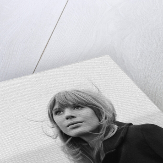 Marianne Faithfull by Terry Mealy