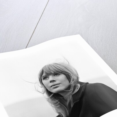 Marianne Faithfull by Terry Mealy