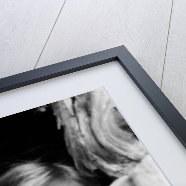 Marianne Faithfull 1971 by Bill Rowntree