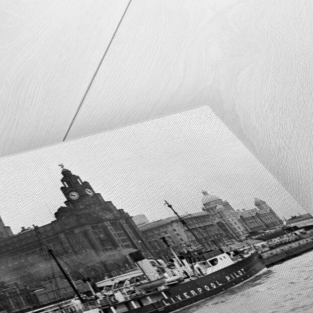 View of Liverpool 1954 by Bela Zola