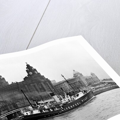 View of Liverpool 1954 by Bela Zola