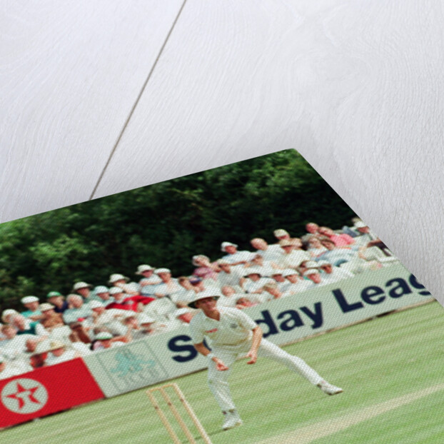 Cricket 1992 by Paul France