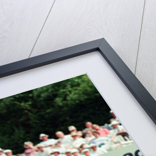 Cricket 1992 by Paul France