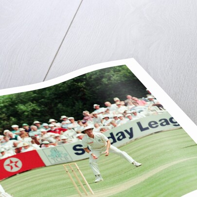 Cricket 1992 by Paul France