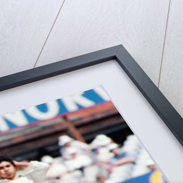 Cricket 1992 by Howard Walker