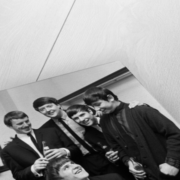 The Animals by Maurice Tibbles