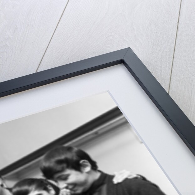 The Animals by Maurice Tibbles