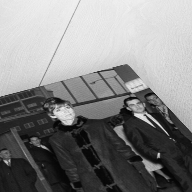 Audrey Hepburn by Staff